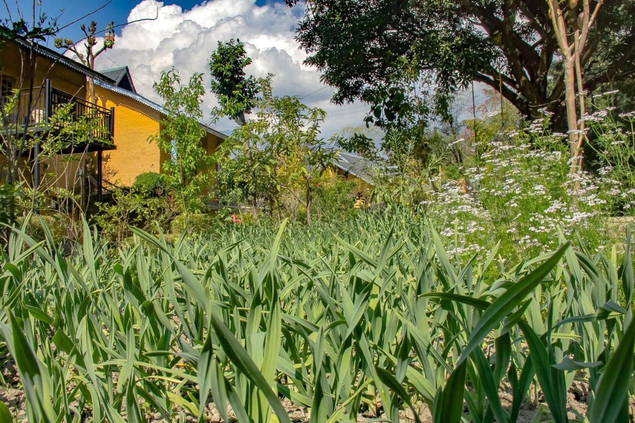 Prakriti Aalay - Riverside Mountain View Boutique Eco Resort Dharamshala Buitenkant foto