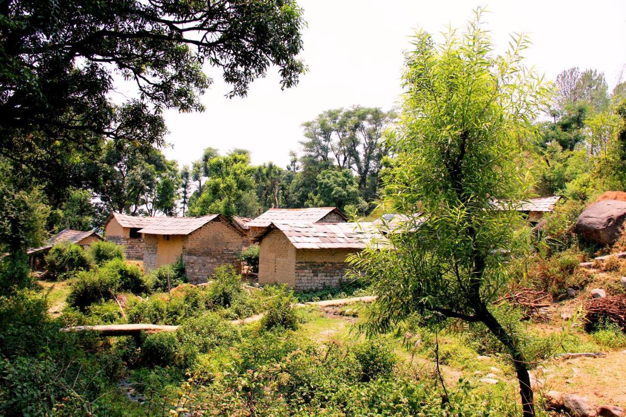 Prakriti Aalay - Riverside Mountain View Boutique Eco Resort Dharamshala Buitenkant foto