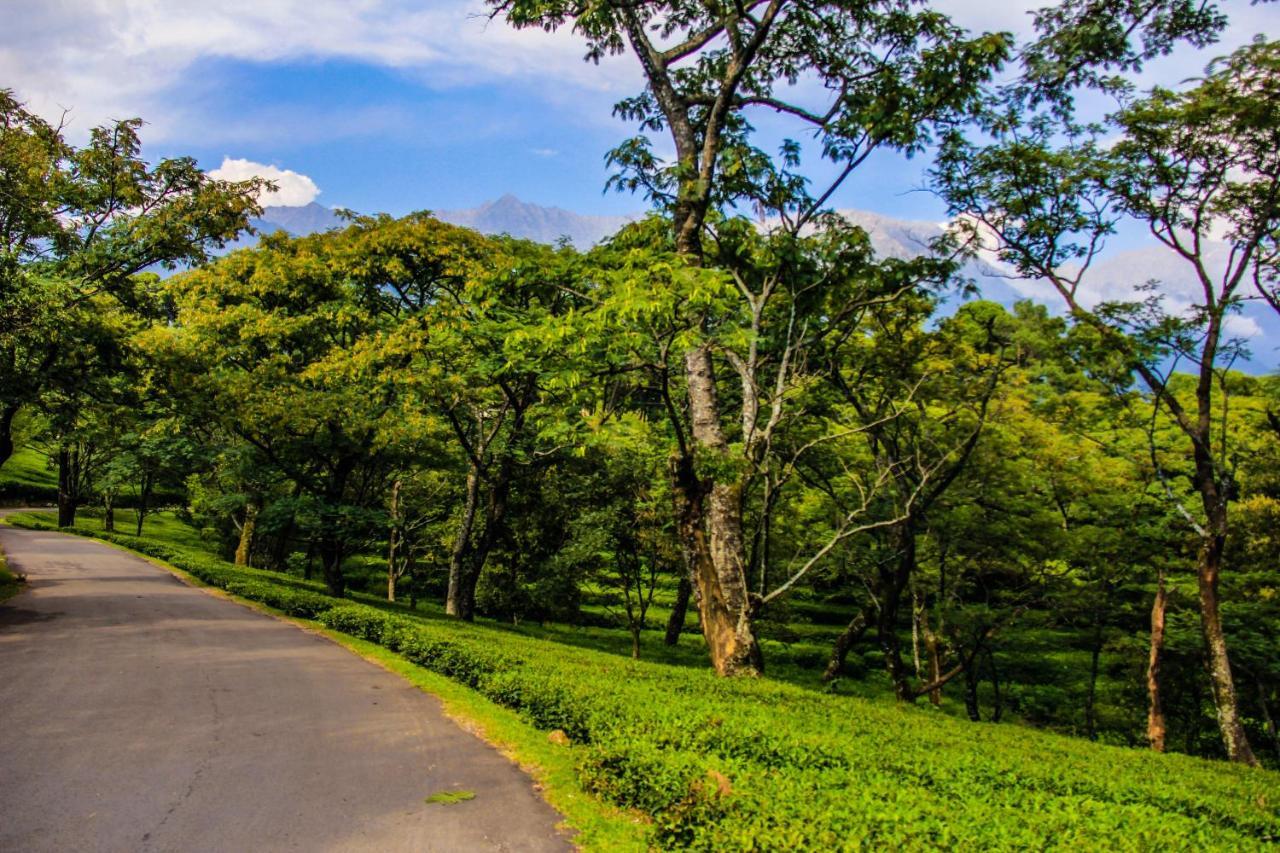 Prakriti Aalay - Riverside Mountain View Boutique Eco Resort Dharamshala Buitenkant foto