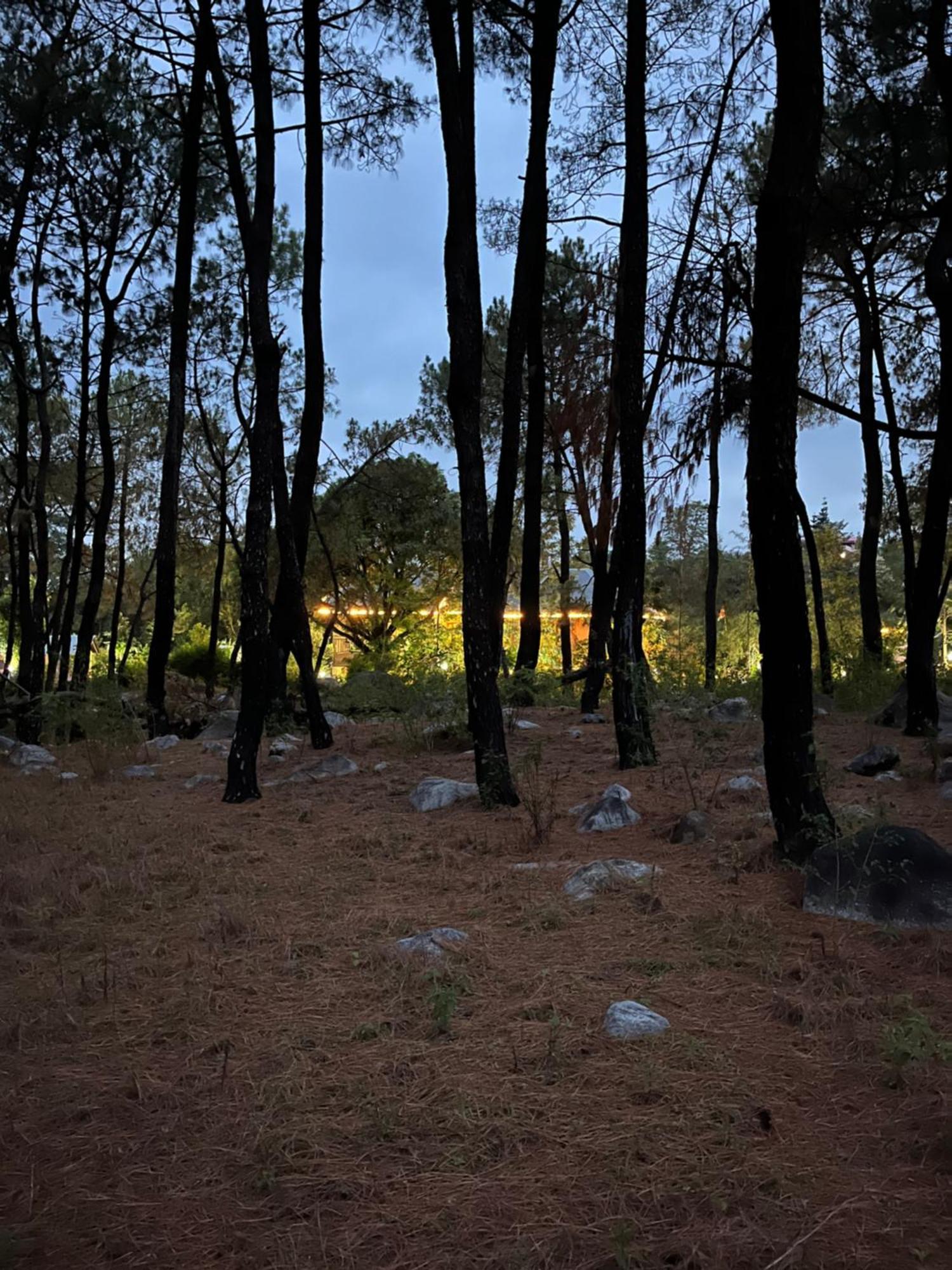 Prakriti Aalay - Riverside Mountain View Boutique Eco Resort Dharamshala Buitenkant foto