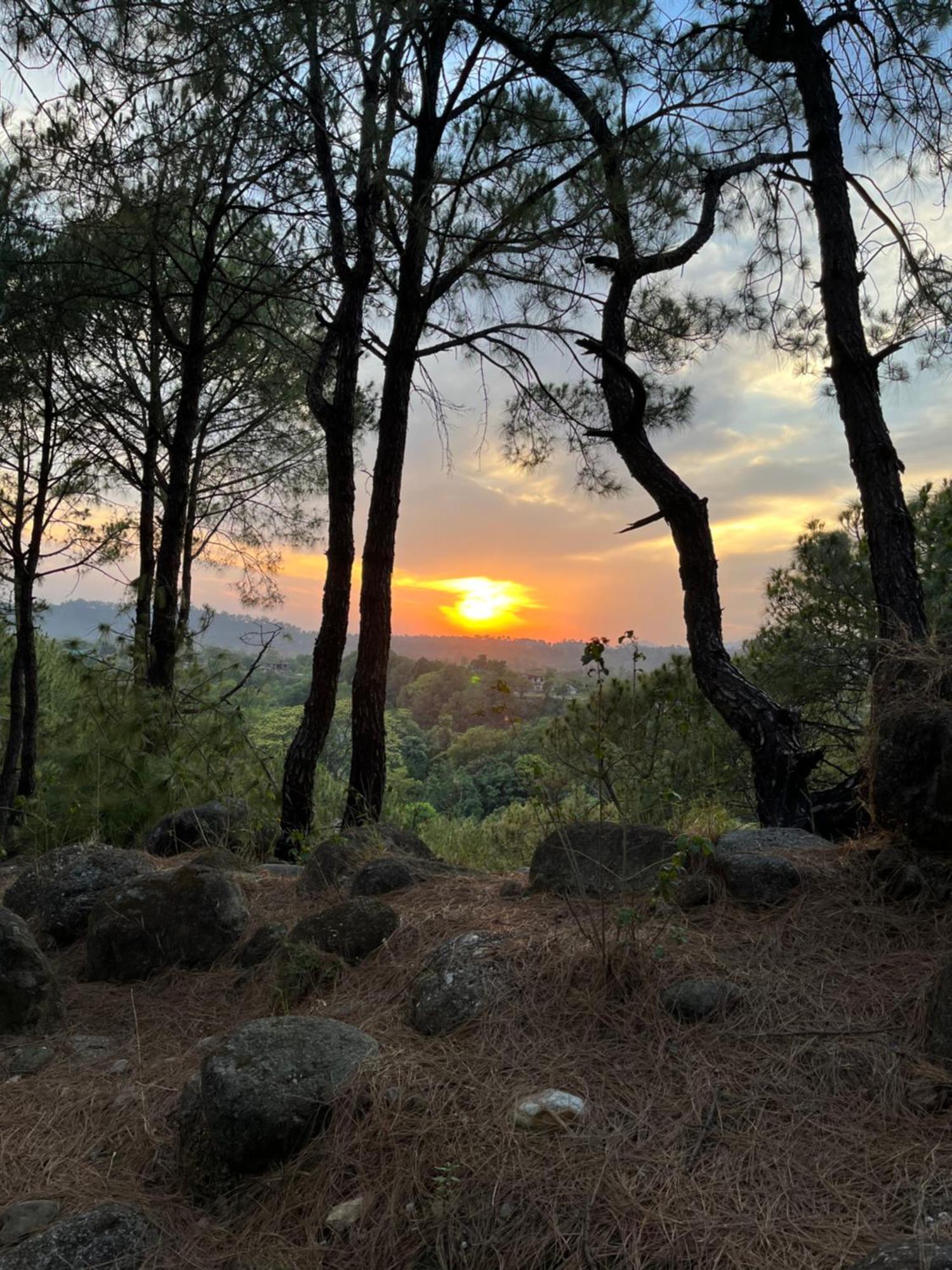 Prakriti Aalay - Riverside Mountain View Boutique Eco Resort Dharamshala Buitenkant foto